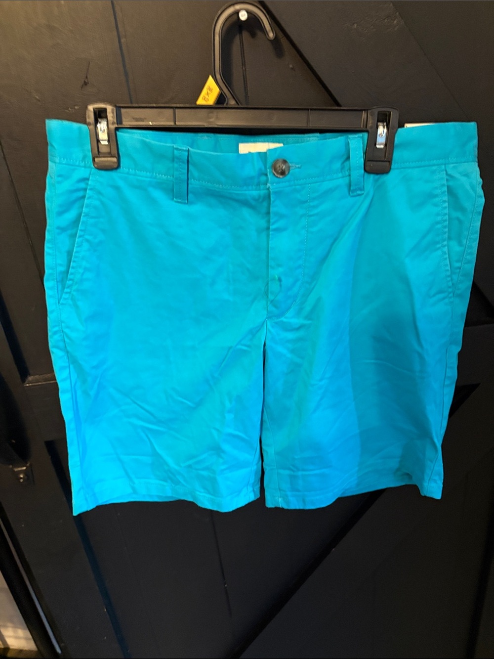 Men's Flat-Front Shorts in Bright Turquoise